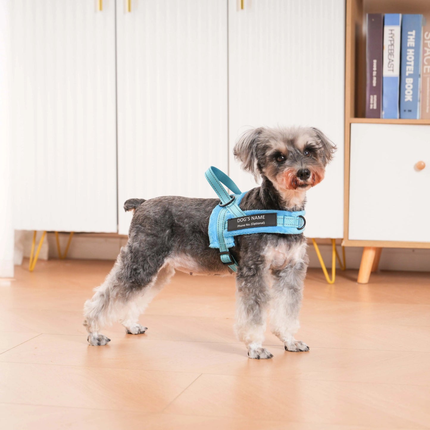 PawControl™ - Das Anti-Zug Hundegeschirr