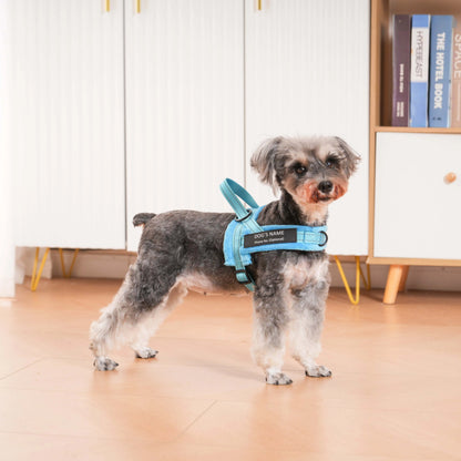 PawControl™ -  Das Anti-Zug Hundegeschirr