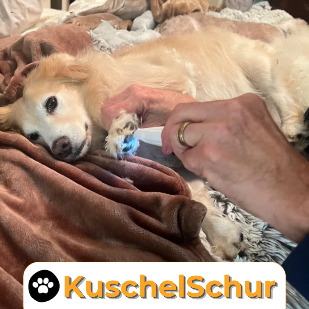 Die KuschelSchur – Für Pfoten und empfindliche Bereiche