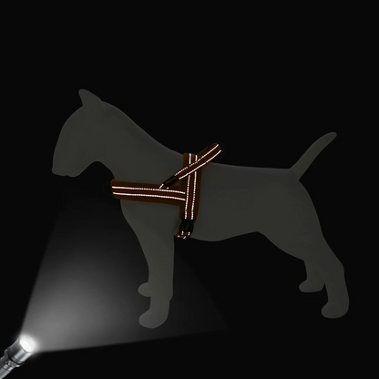 PawControl™ -  Das Anti-Zug Hundegeschirr